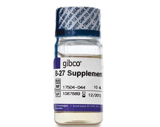 Gibco? B-27無(wú)血清添加劑有什么特點(diǎn)